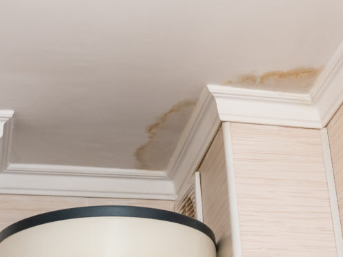 6 Tips On How To Avoid Water Damage In Your Home